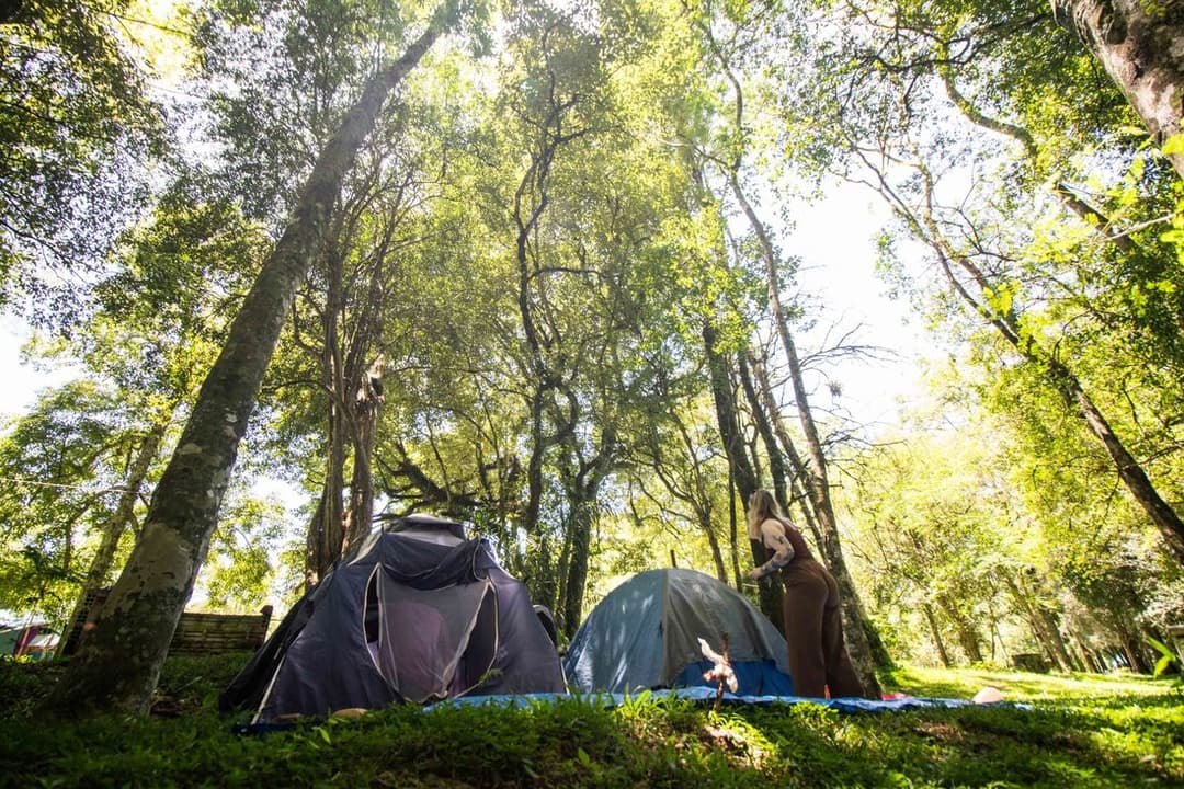 Barracas coloridas espalhadas na grama, entre árvores, no acampamento do festival