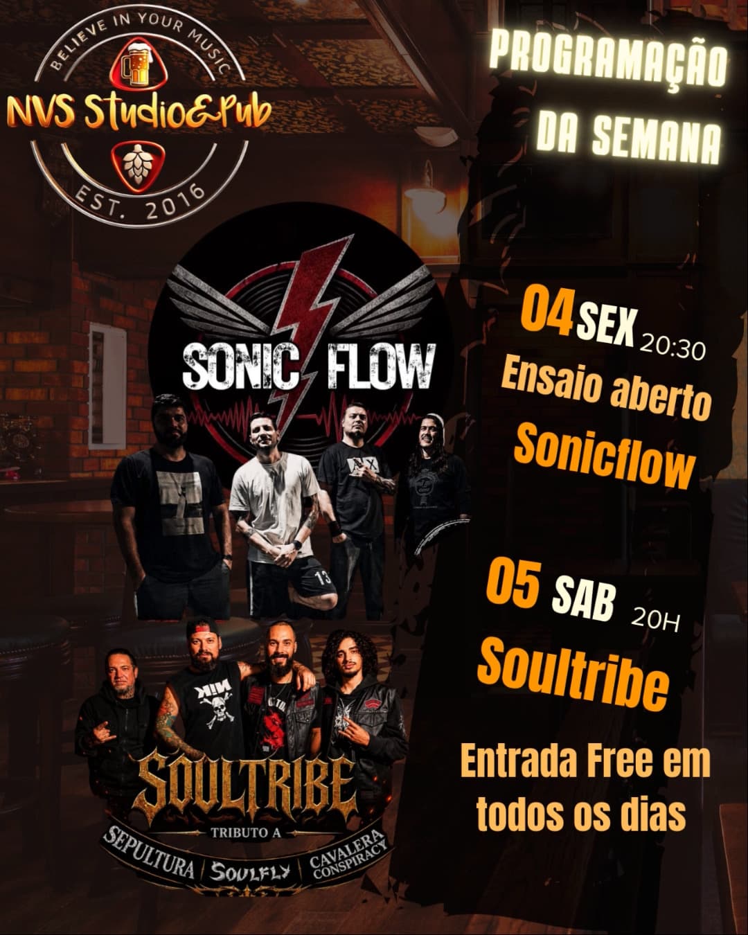 Flyer de sonicflowband