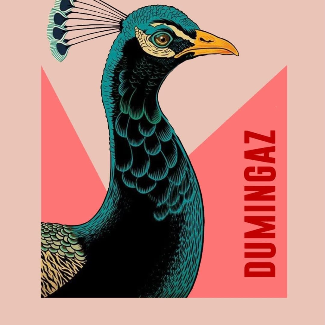 Foto de Dumingaz