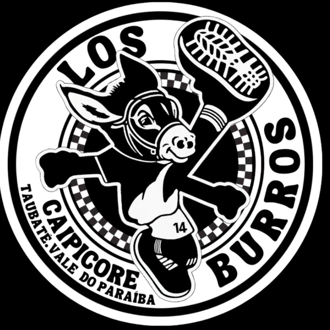Arte de Banda Los Burros