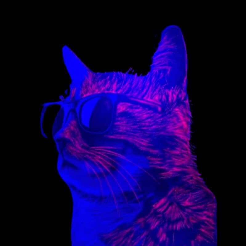 Foto de Pulo do Gato no Querosene