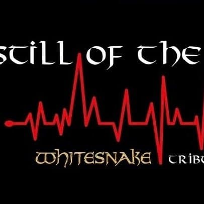 Arte de Still of the Night