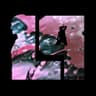 Linkin Park Cover BR