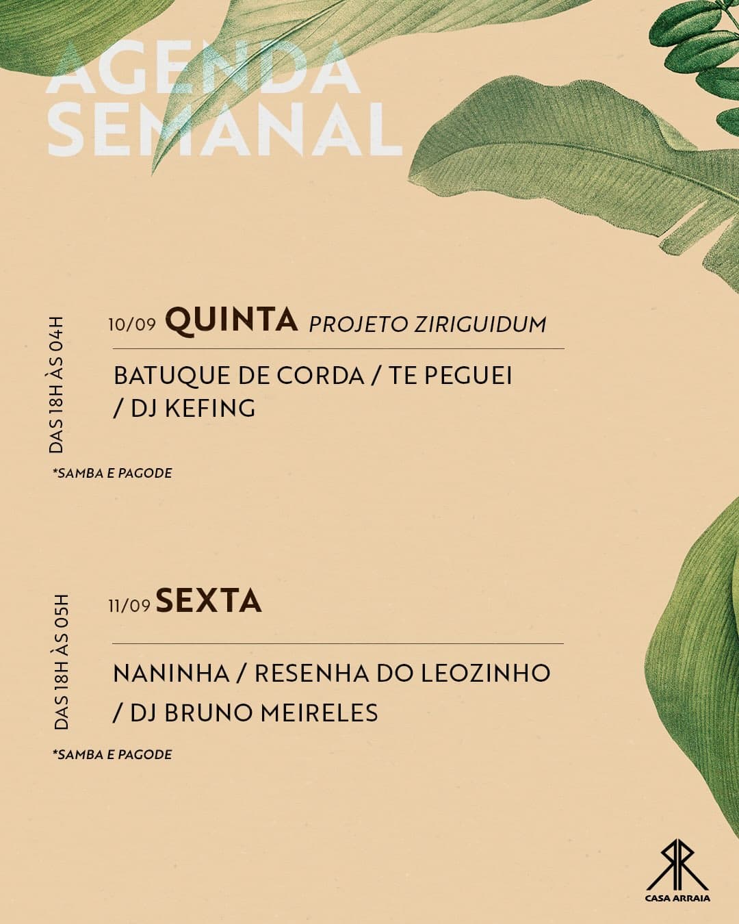 Flyer de Projeto Ziriguidum