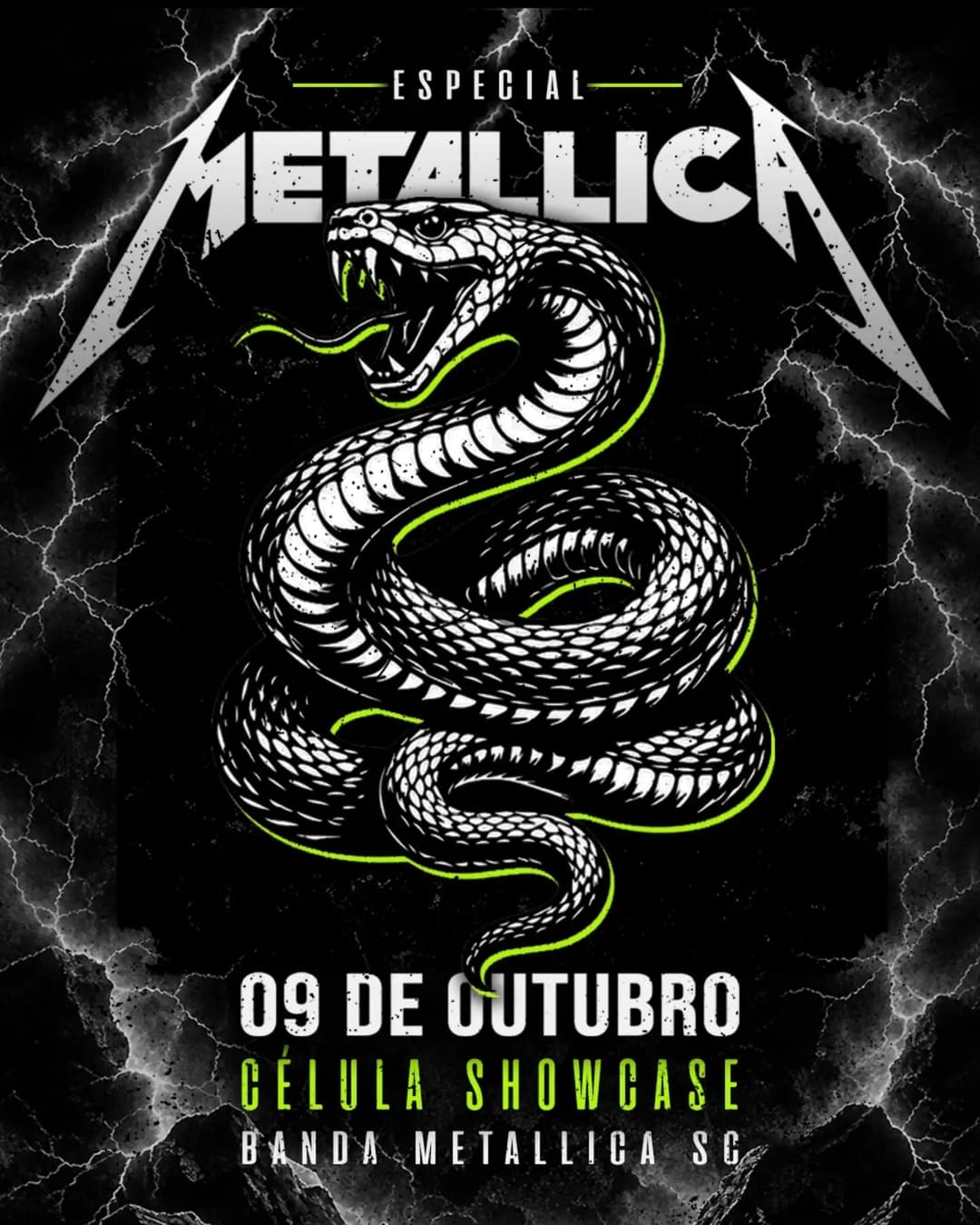 Flyer de Metallica SC