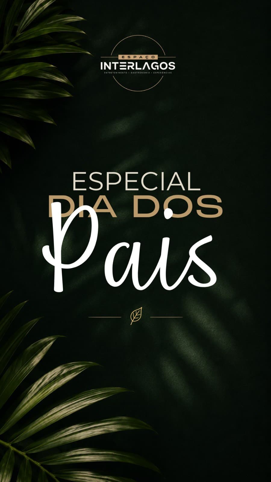 Flyer de Emerson Nunes