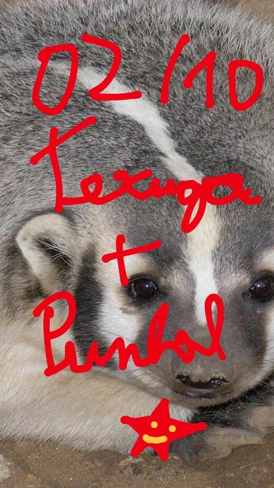 Flyer de Texuga e Punhal Punk