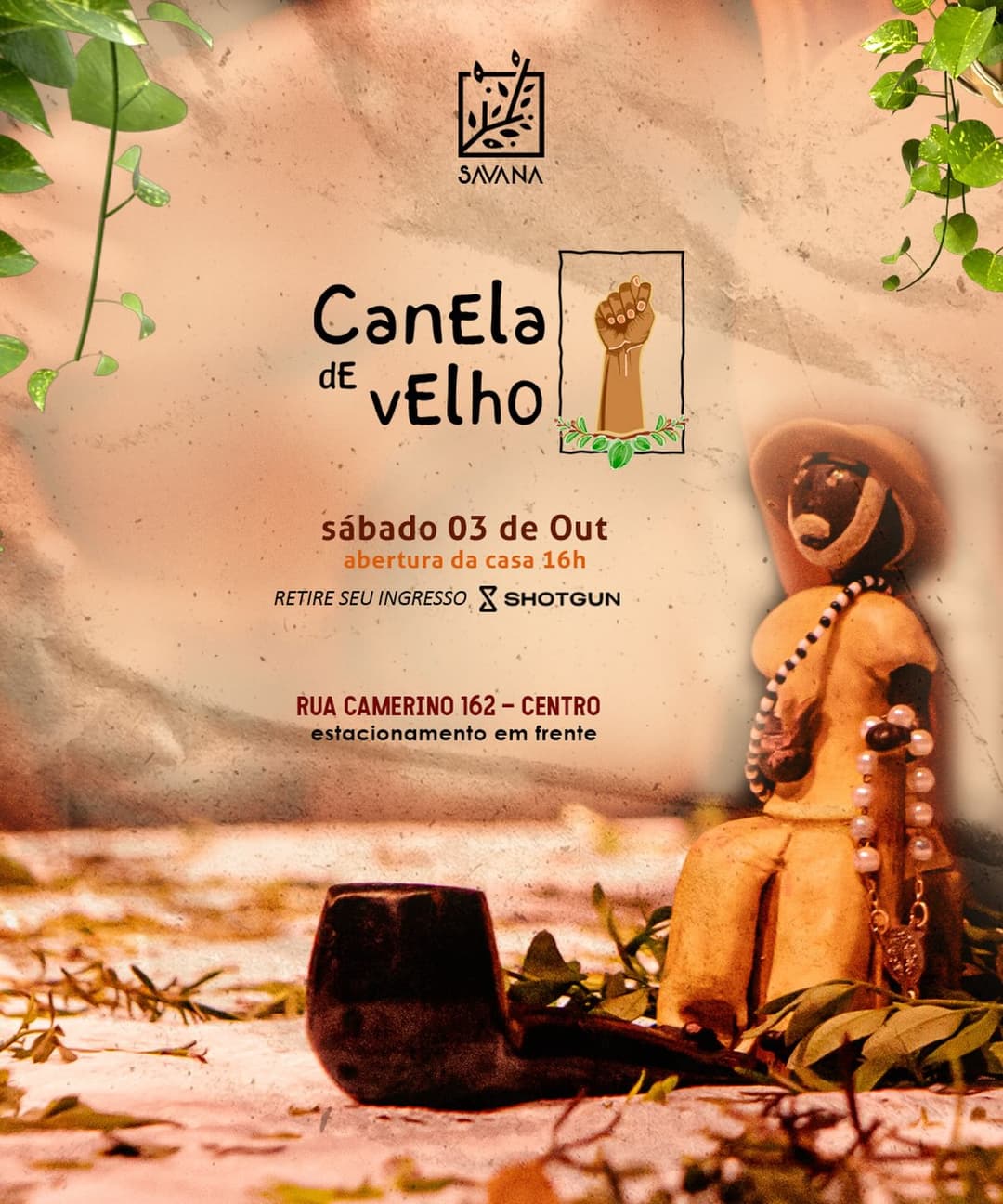 Flyer de Canela de Velho