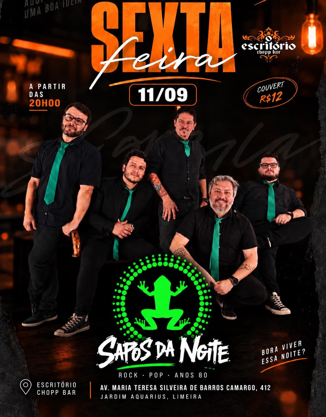 Flyer de Sapos da Noite