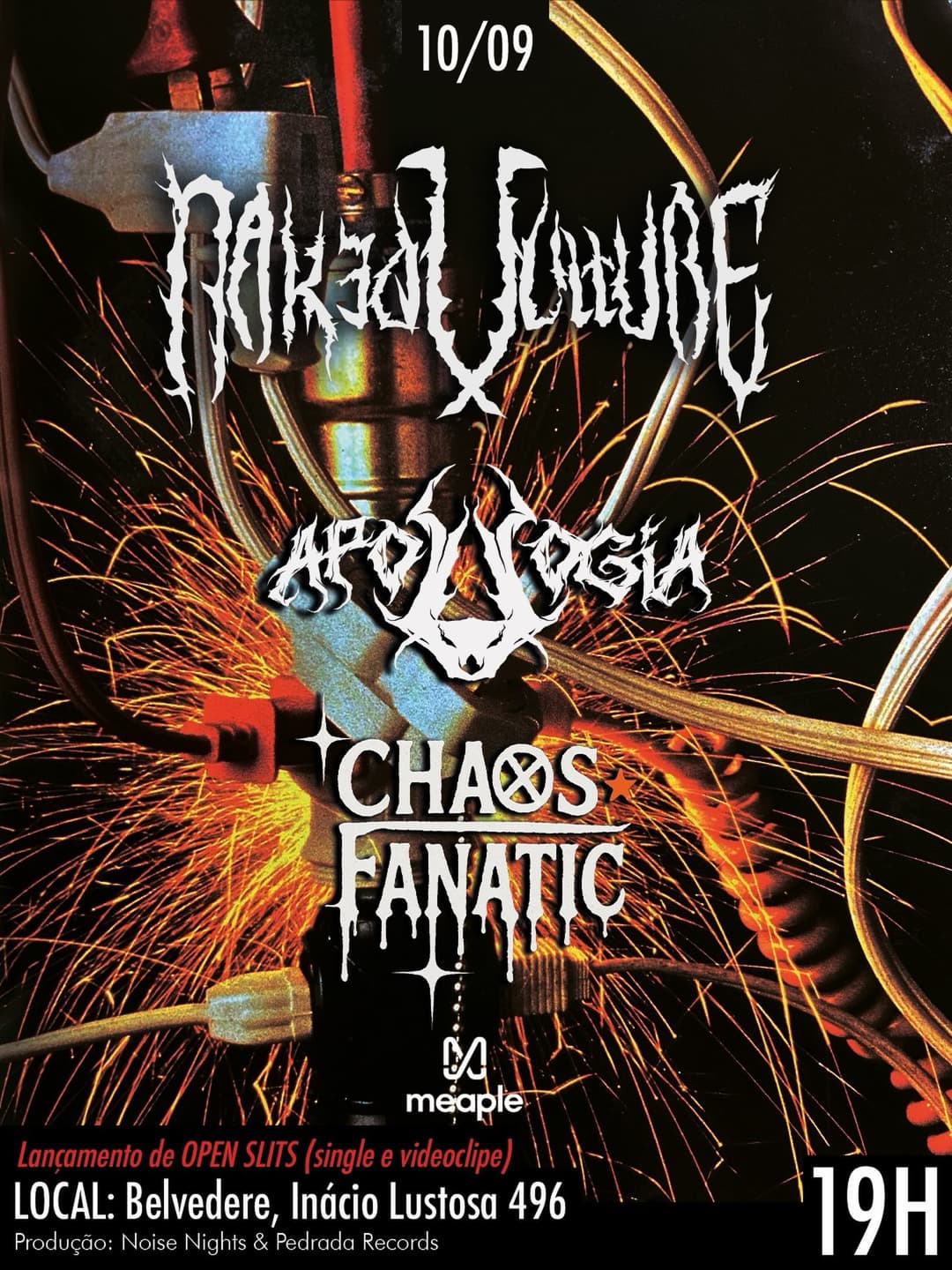 Flyer de Naked Vulture
