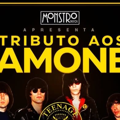 Flyer de Insanidade, Teenage Lobotomy e The Gimme Gimme Gimmes