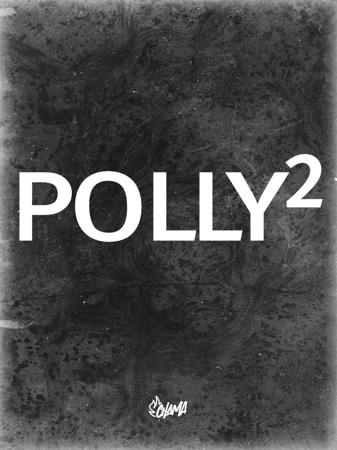 Flyer de Polly Noise and The Cracks e Polly Terror