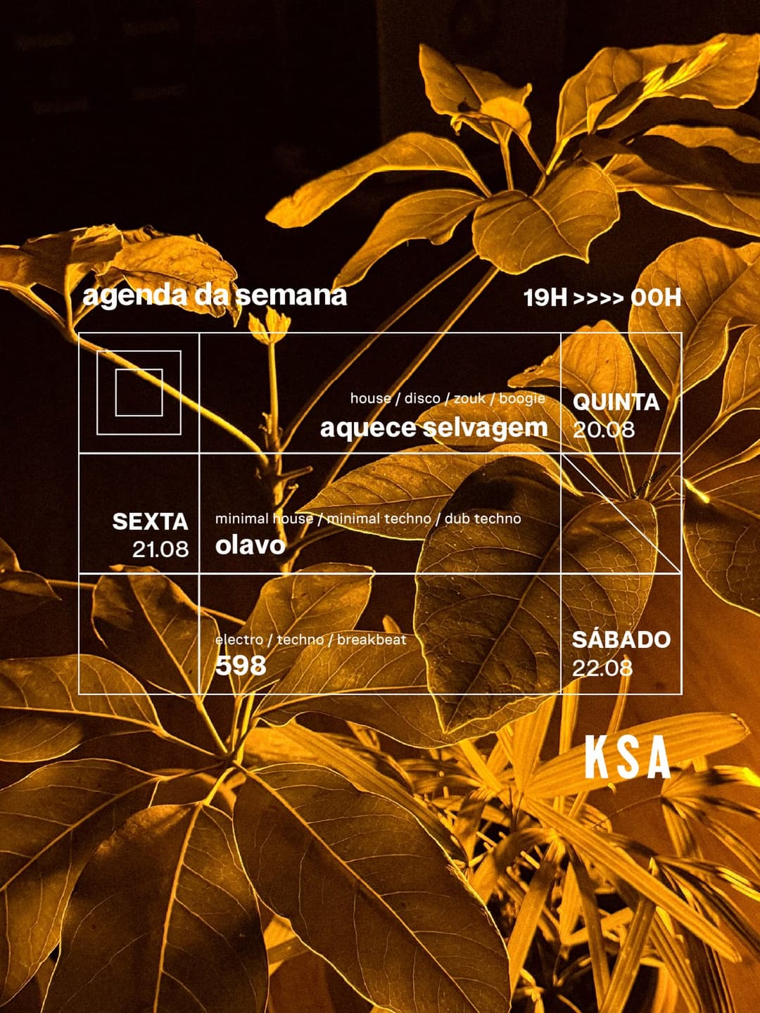 Flyer de festaselvagem, leosrocha e phmenezes