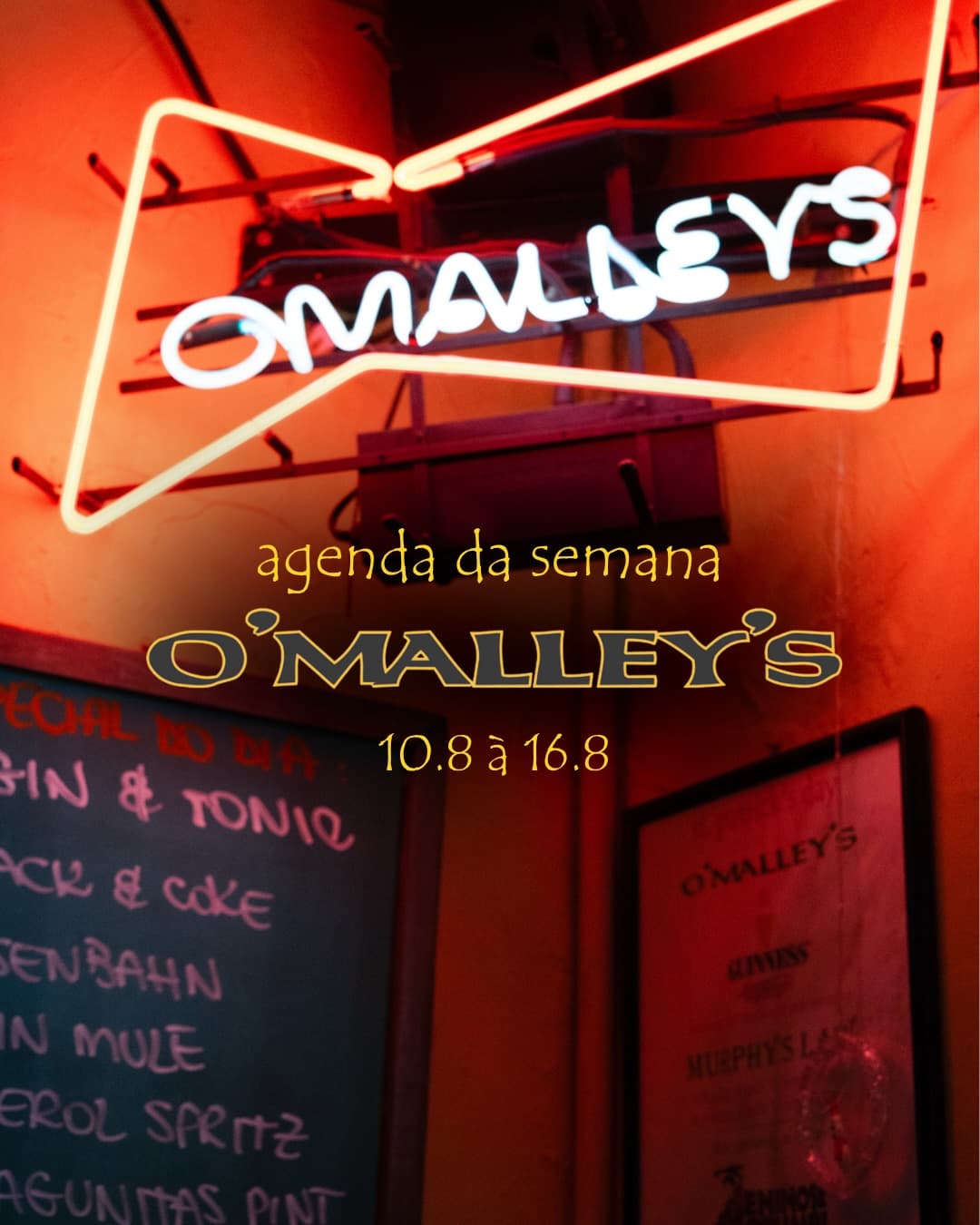Flyer de Stefano Moliner