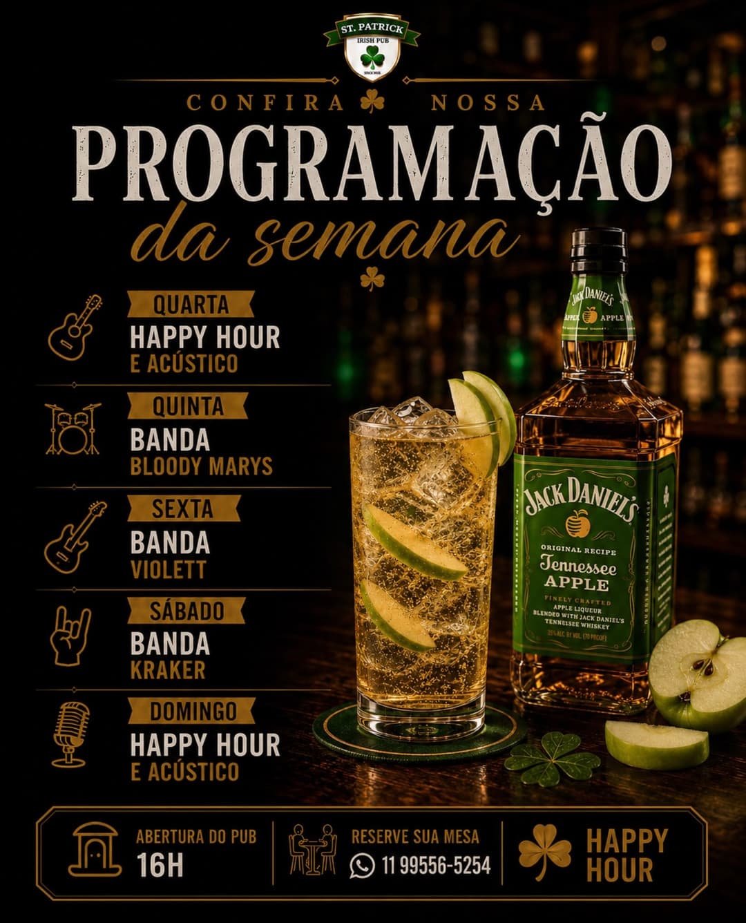 Flyer de Rolando Aragon