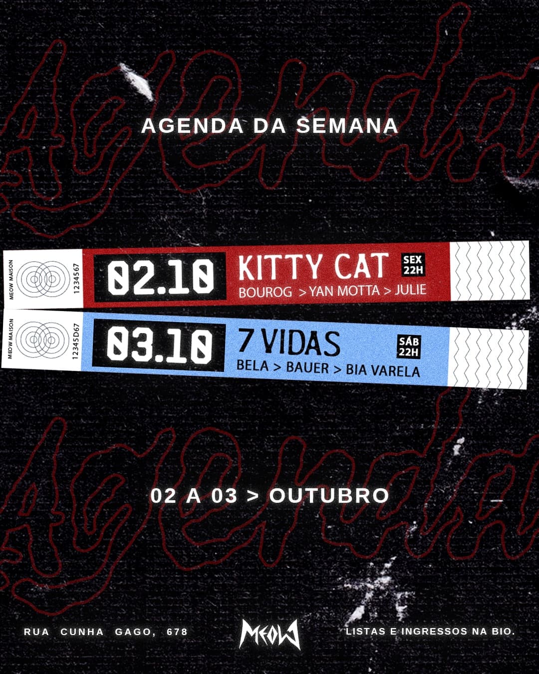 Flyer de Kitty Cat