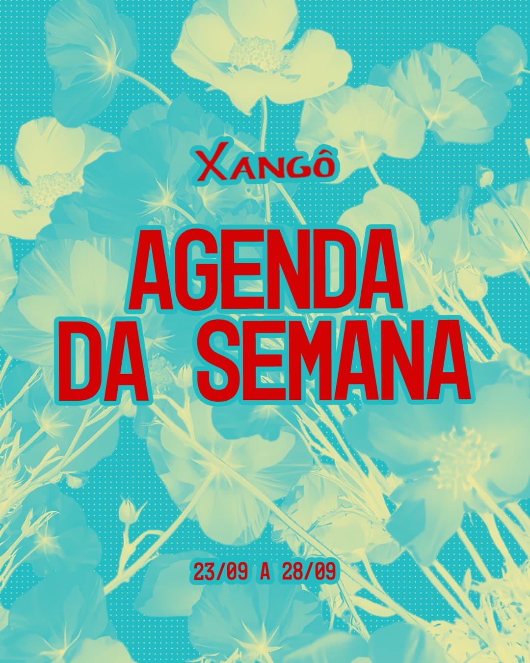 Flyer de Sérgio Vilela/DJ