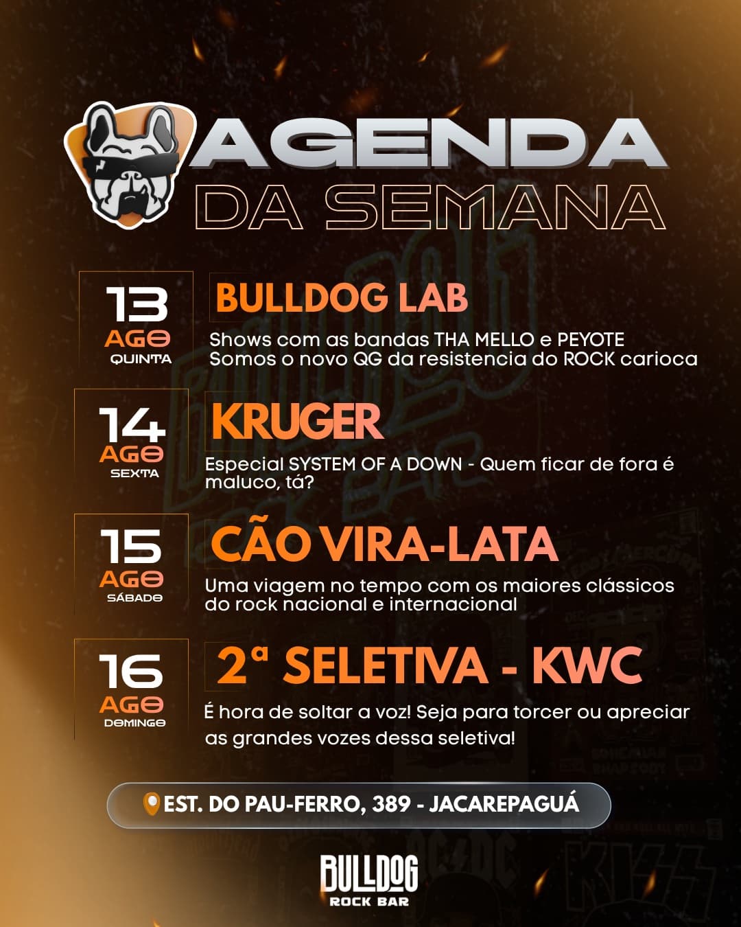 Flyer de Cão Vira-Lata