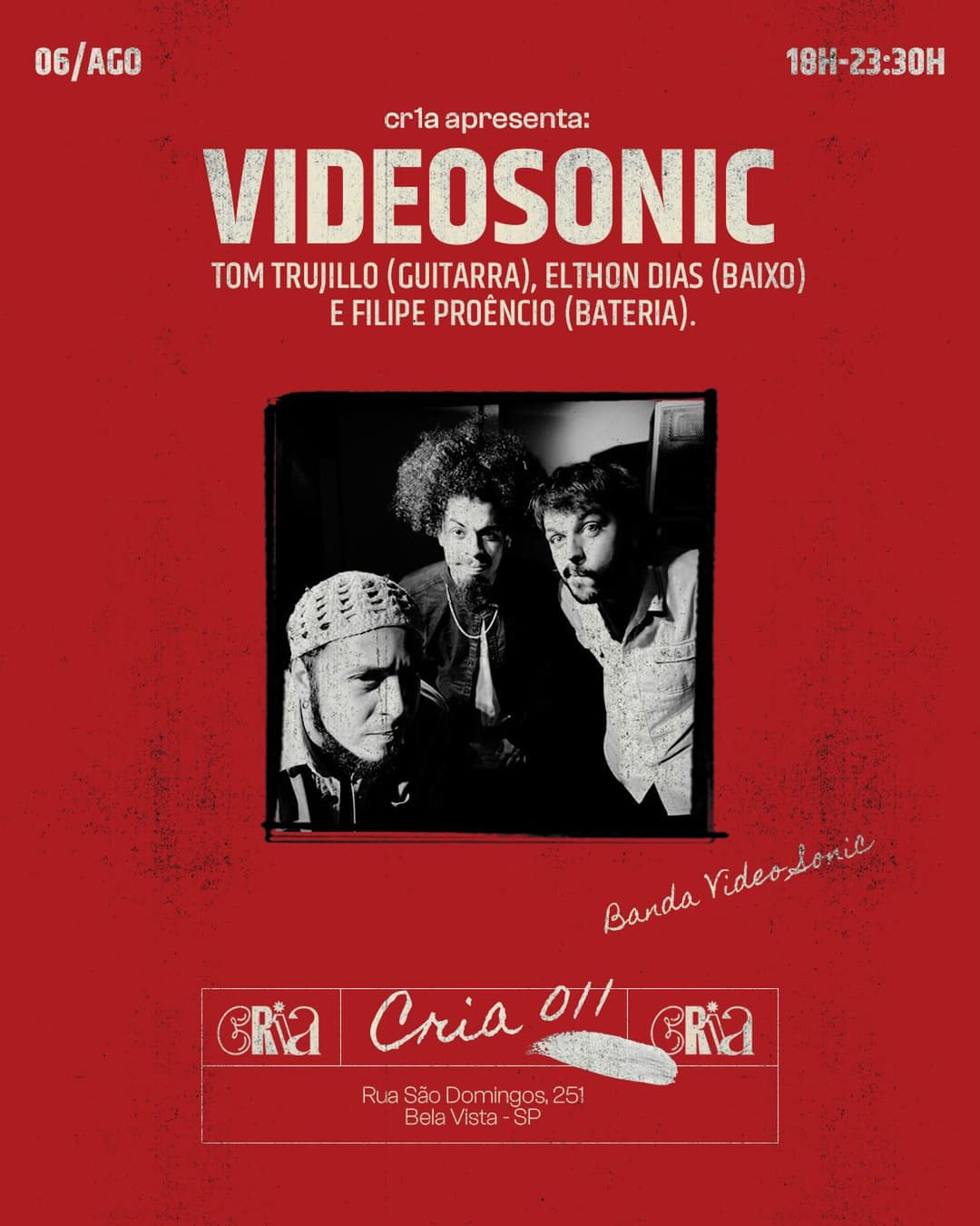 Flyer de VideoSonic