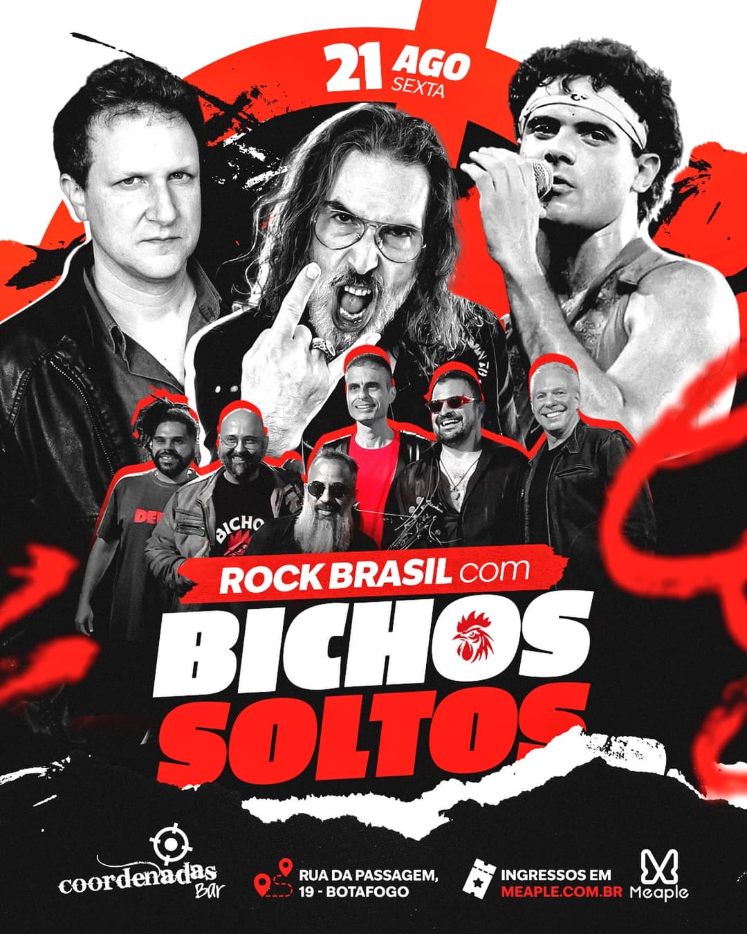 Flyer de Bichos Soltos