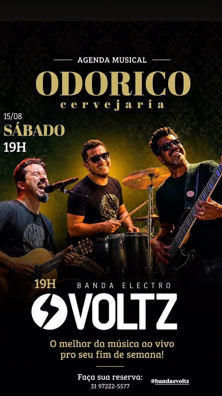 Flyer de Electro Voltz