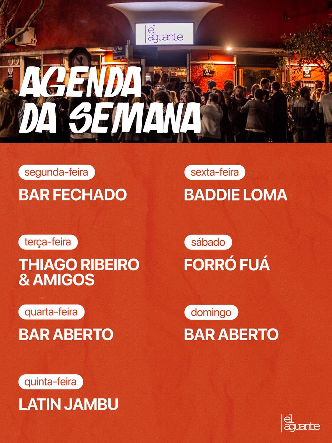 Flyer de thiago ribeiro & amigos