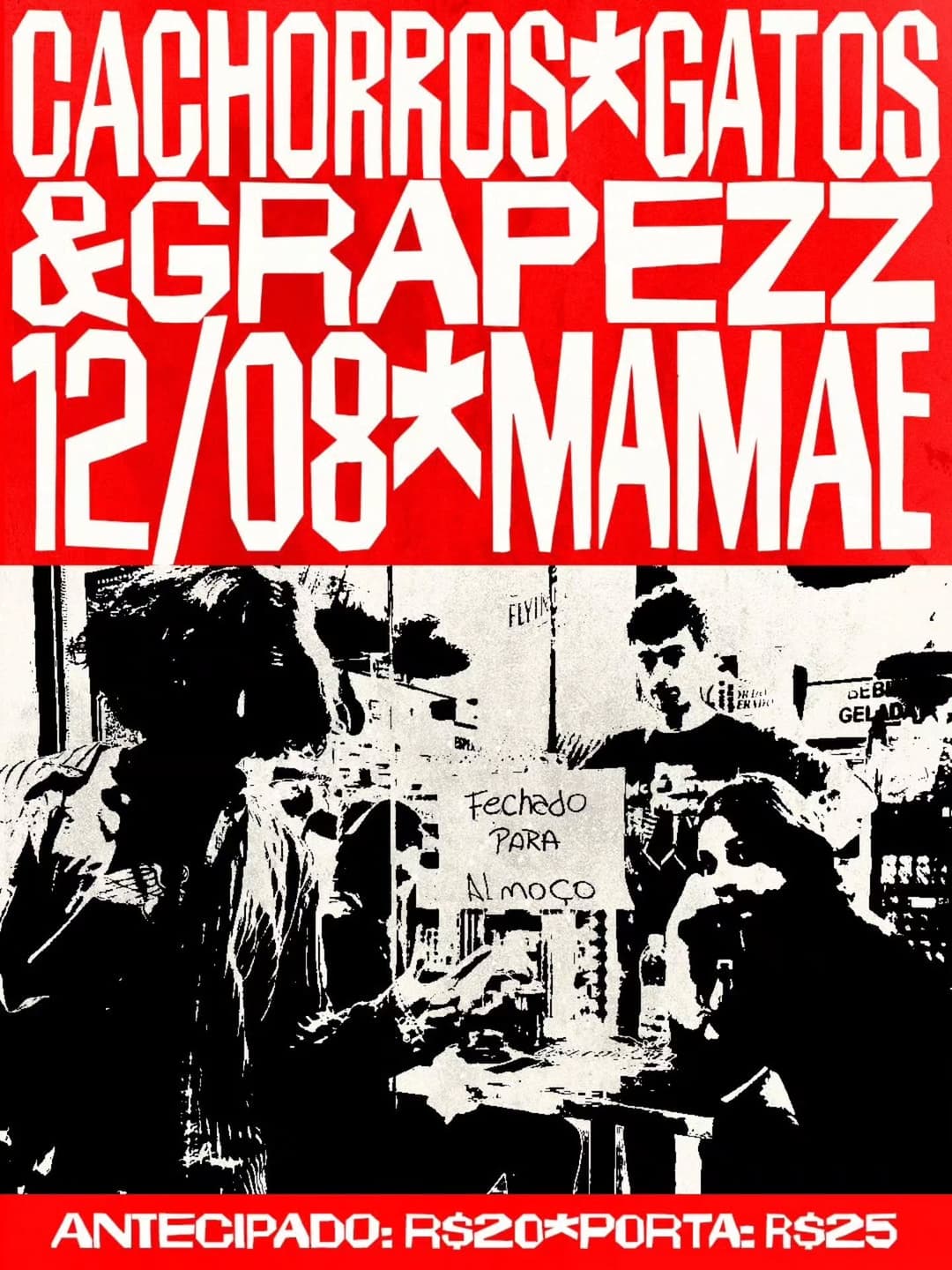 Flyer de Cachorros Gatos
