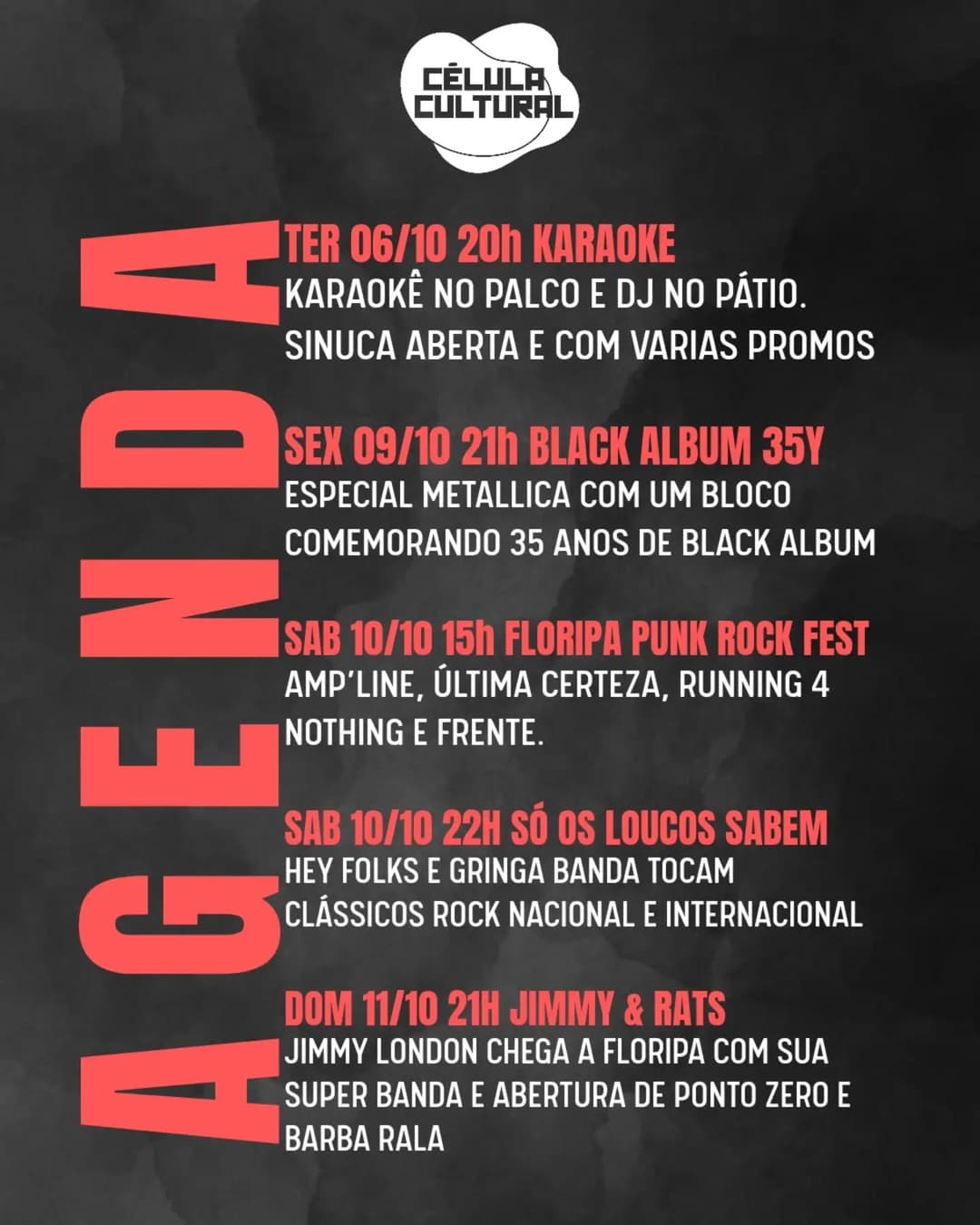 Flyer de Black Album 35Y