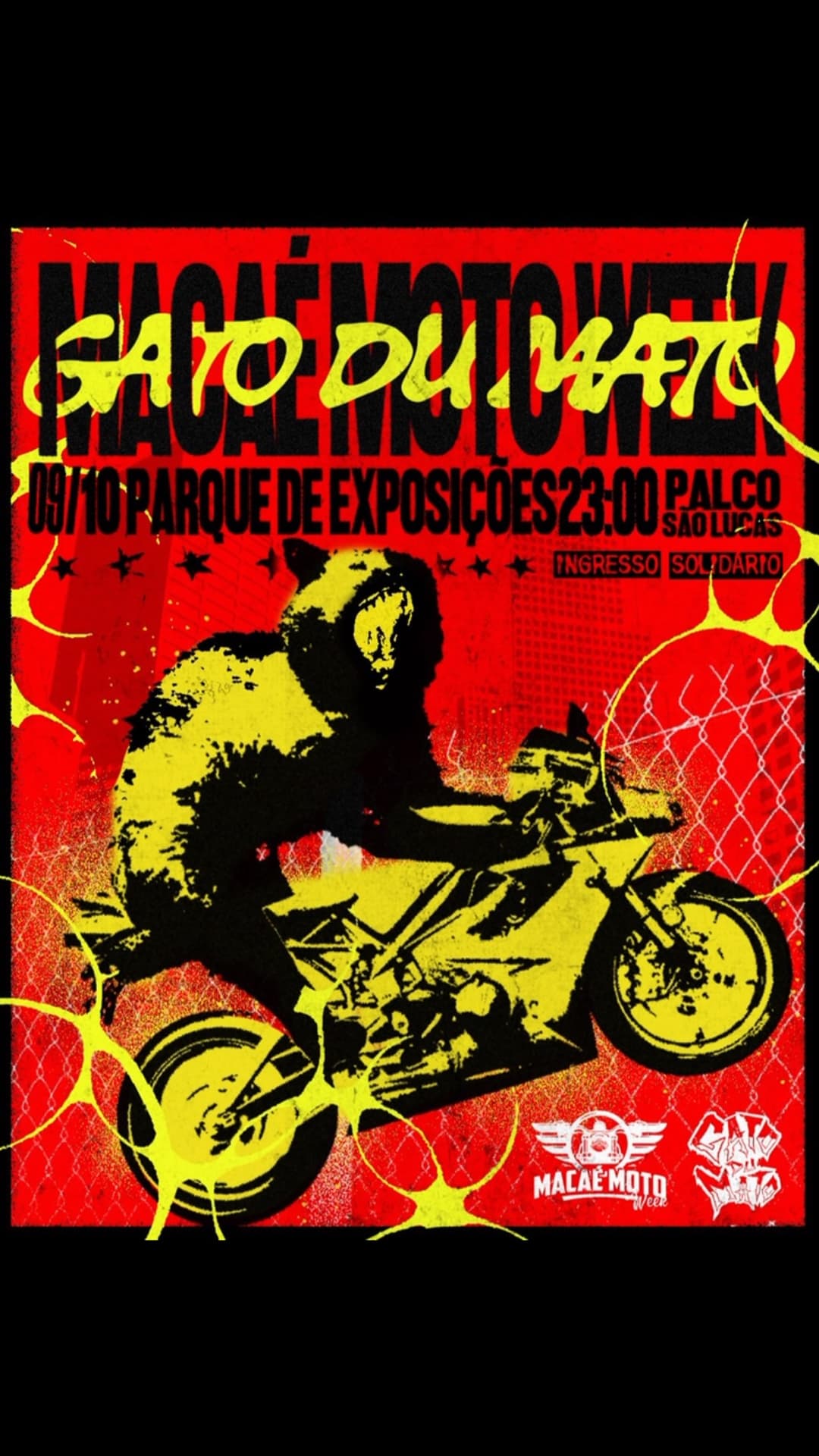 Flyer de Gato du Mato
