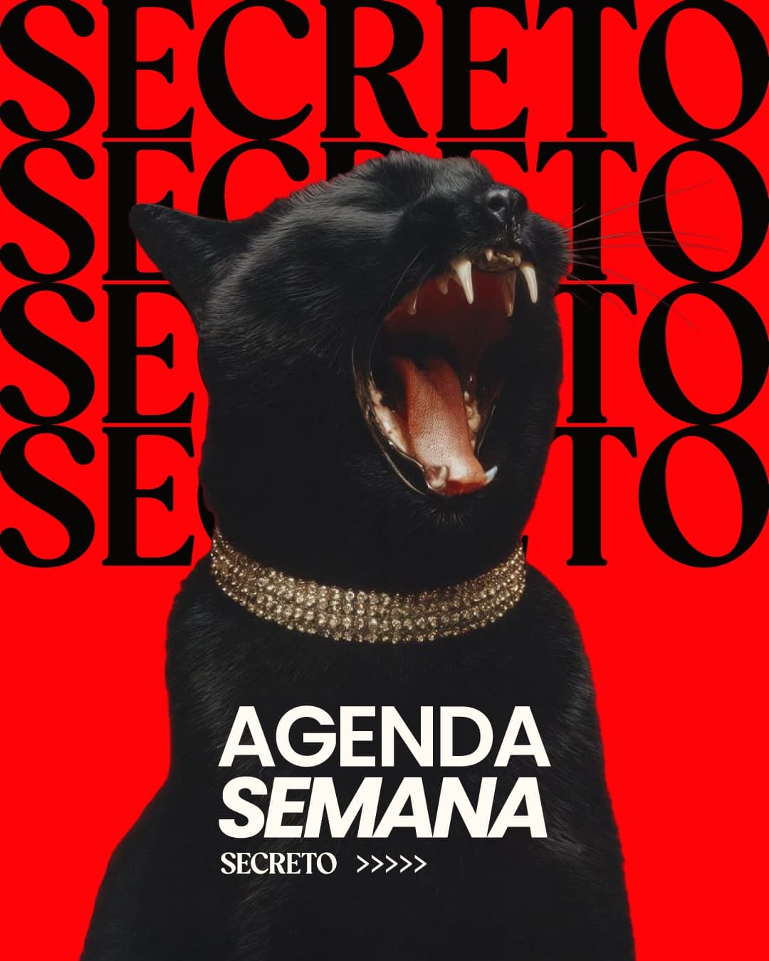 Flyer de MARCAPÁGINA e SEMSERTEZA