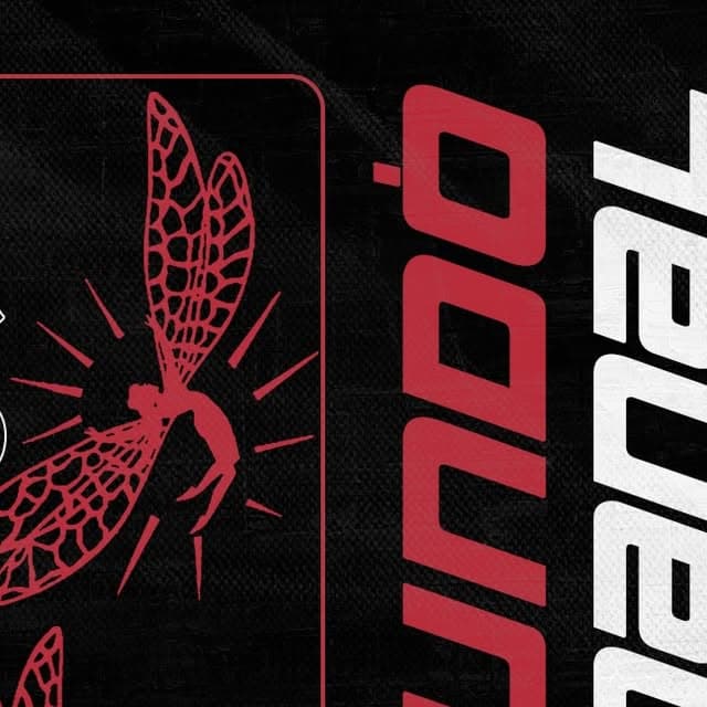 Flyer de Rooted e The One
