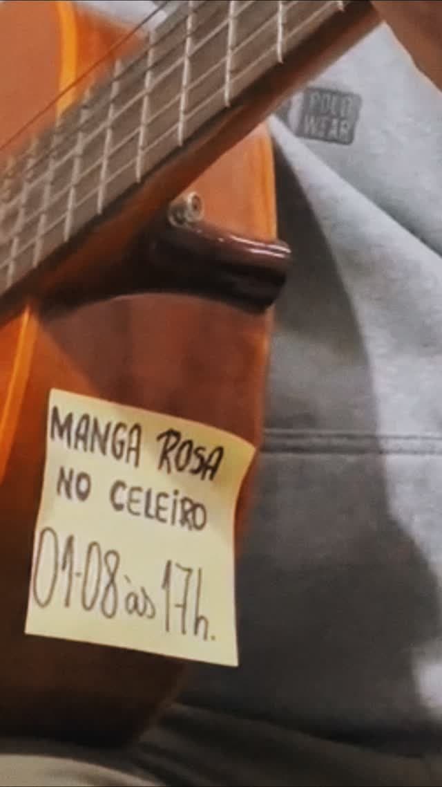 Flyer de Manga Rosa