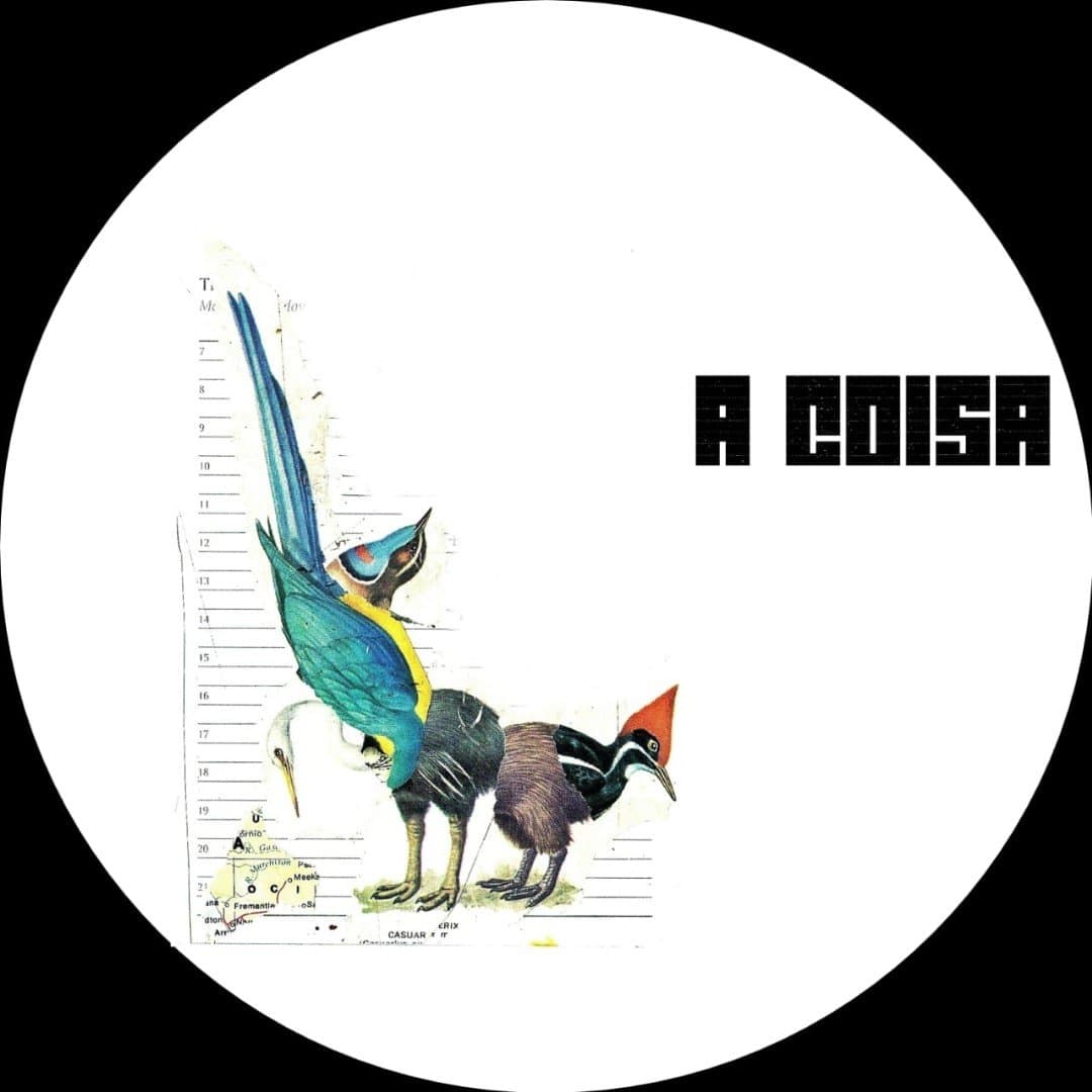Arte de A Coisa