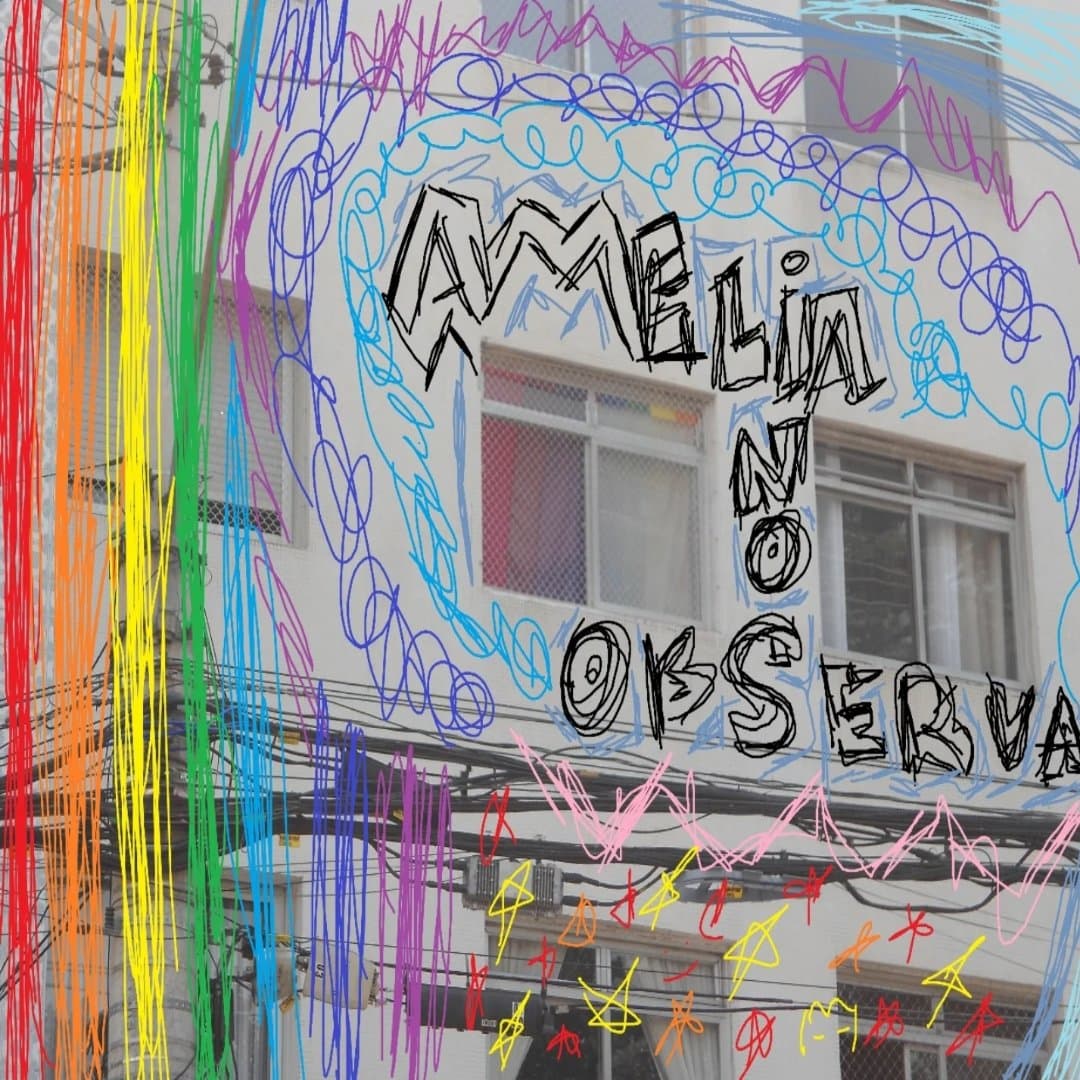 Arte de Amélia nos Observa