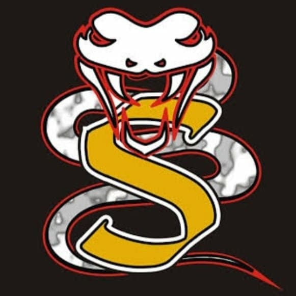 Arte de Banda Snakebite