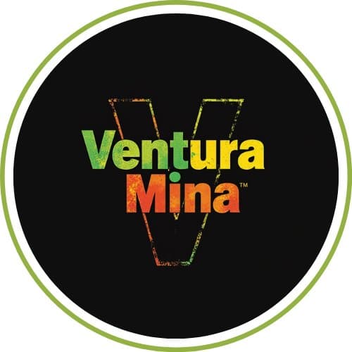 Arte de Bandaventuramina
