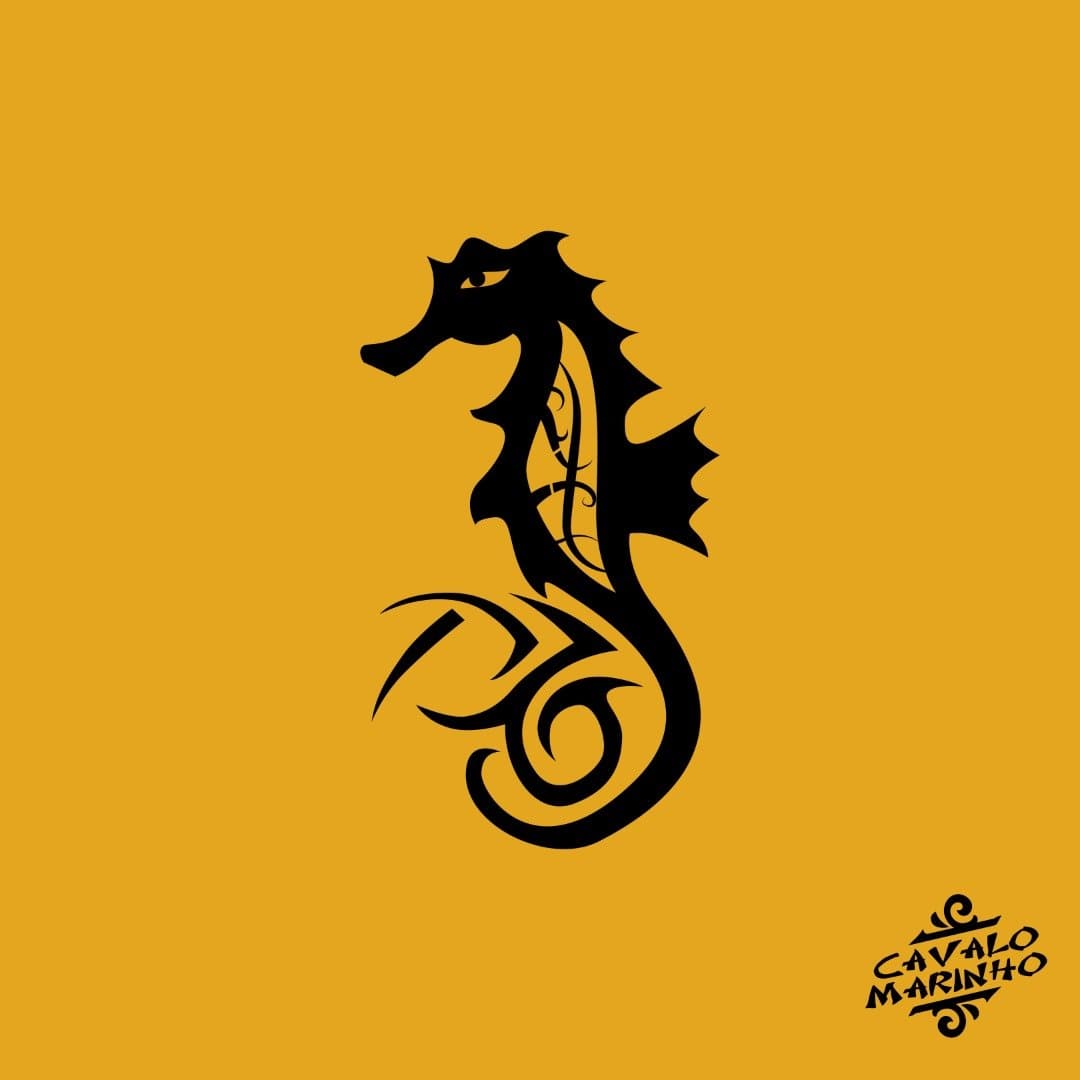 Foto de Cavalo Marinho