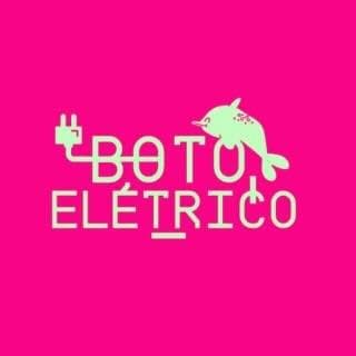 Foto de Boto Elétrico