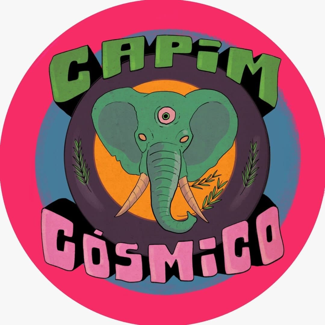 Arte de Capim Cósmico
