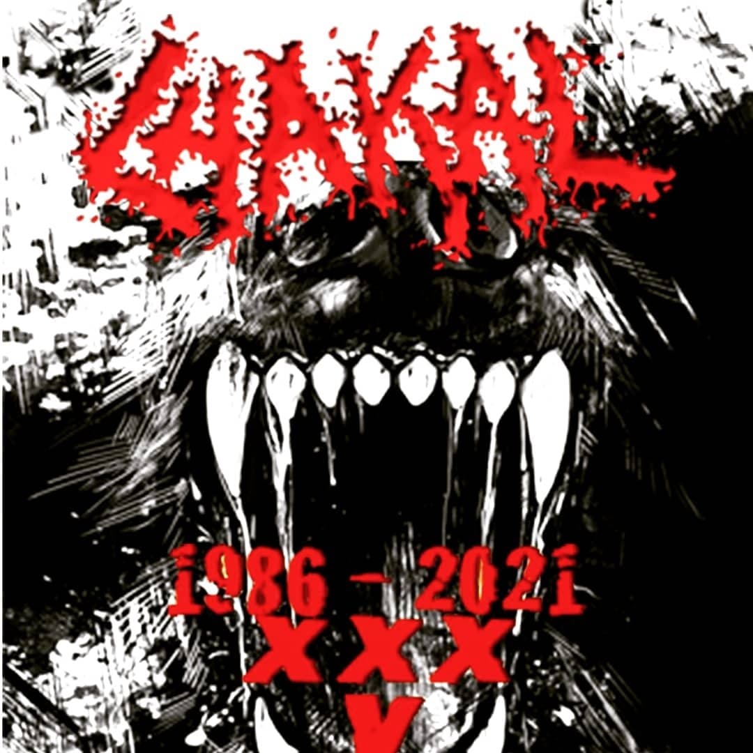 Arte de Chakal BH