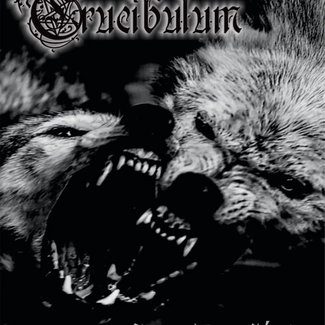 Arte de Crucibulum
