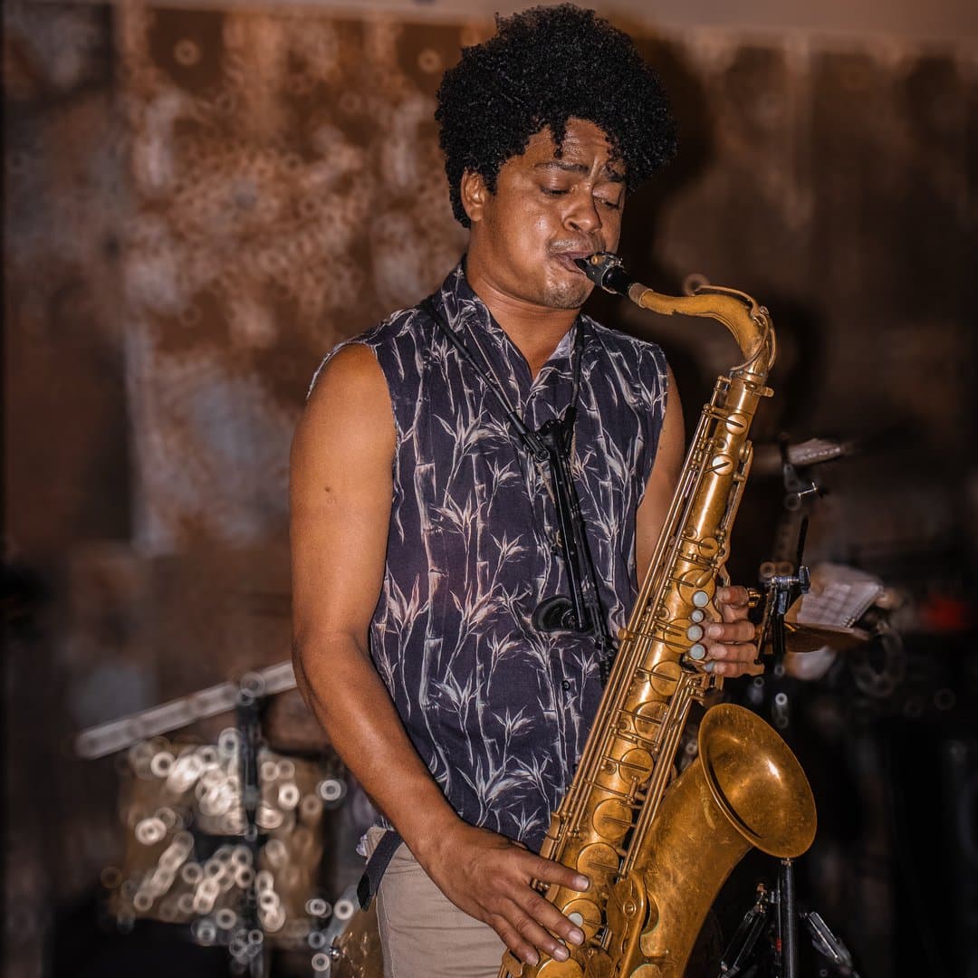 Arte de Danúbio Sax