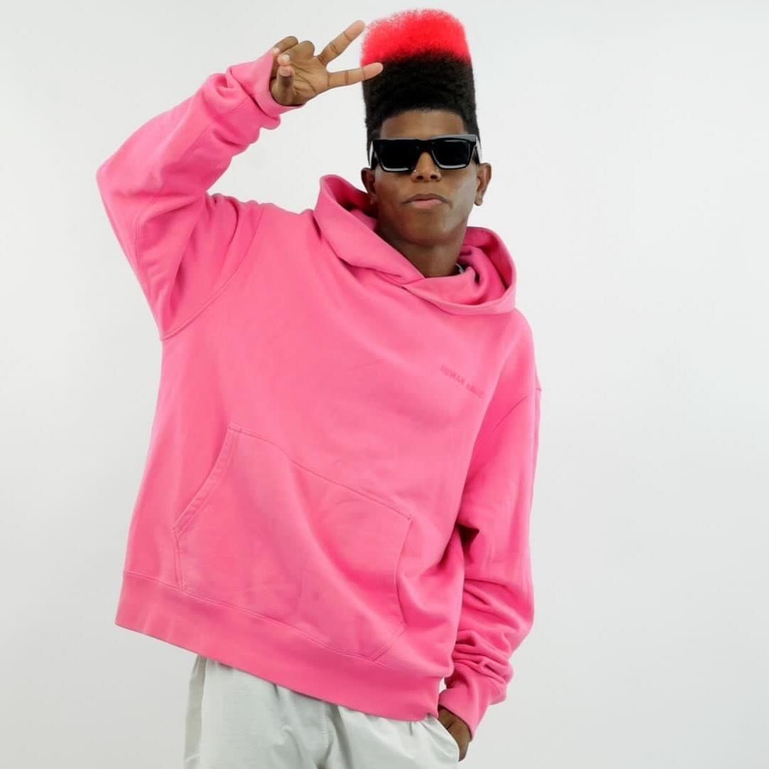 Arte de Pink Jay