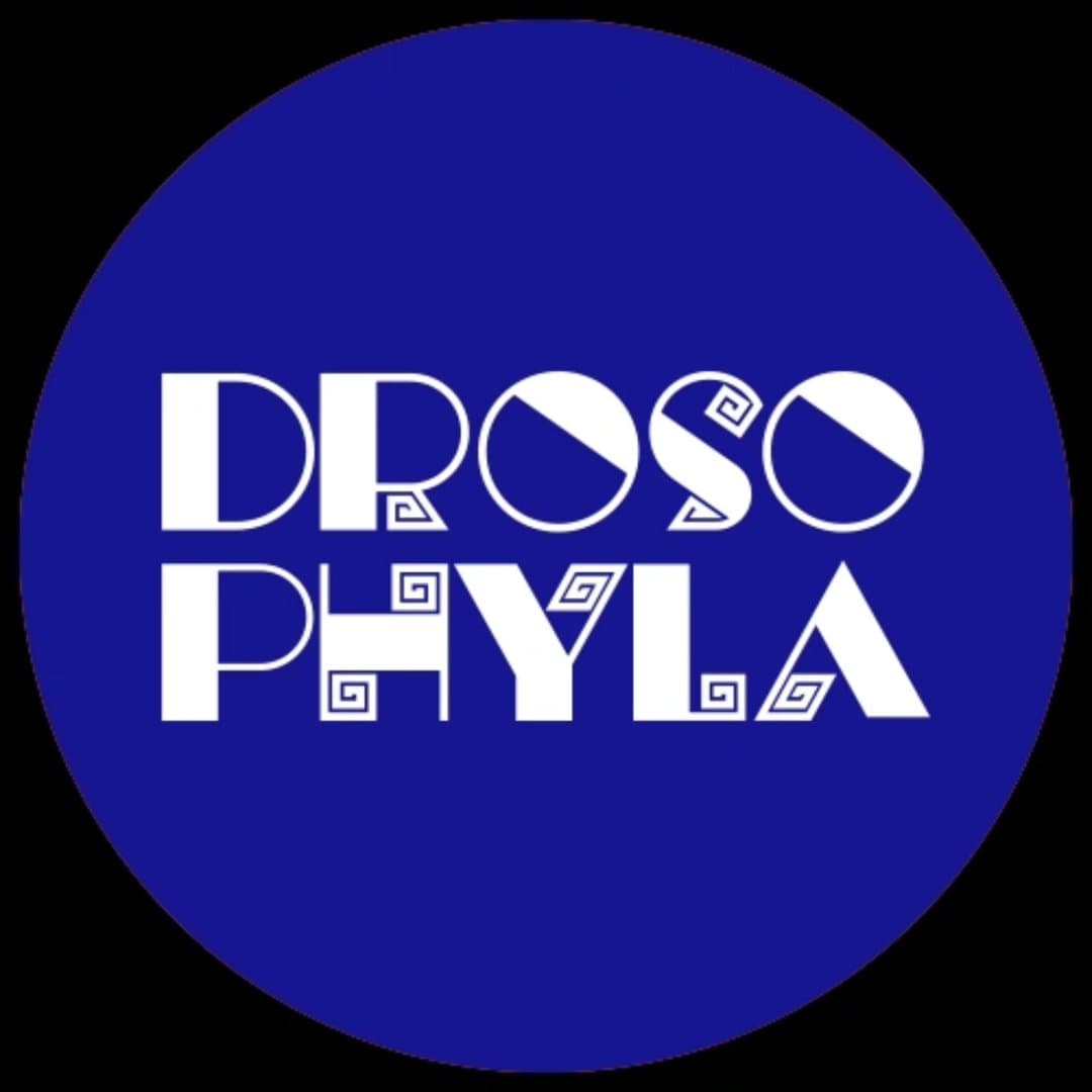 Foto de Drosophyla