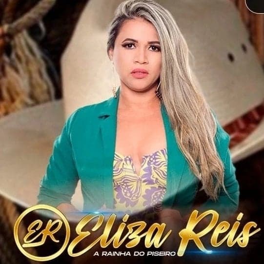 Arte de Eliza Reis Rainha do Piseiro