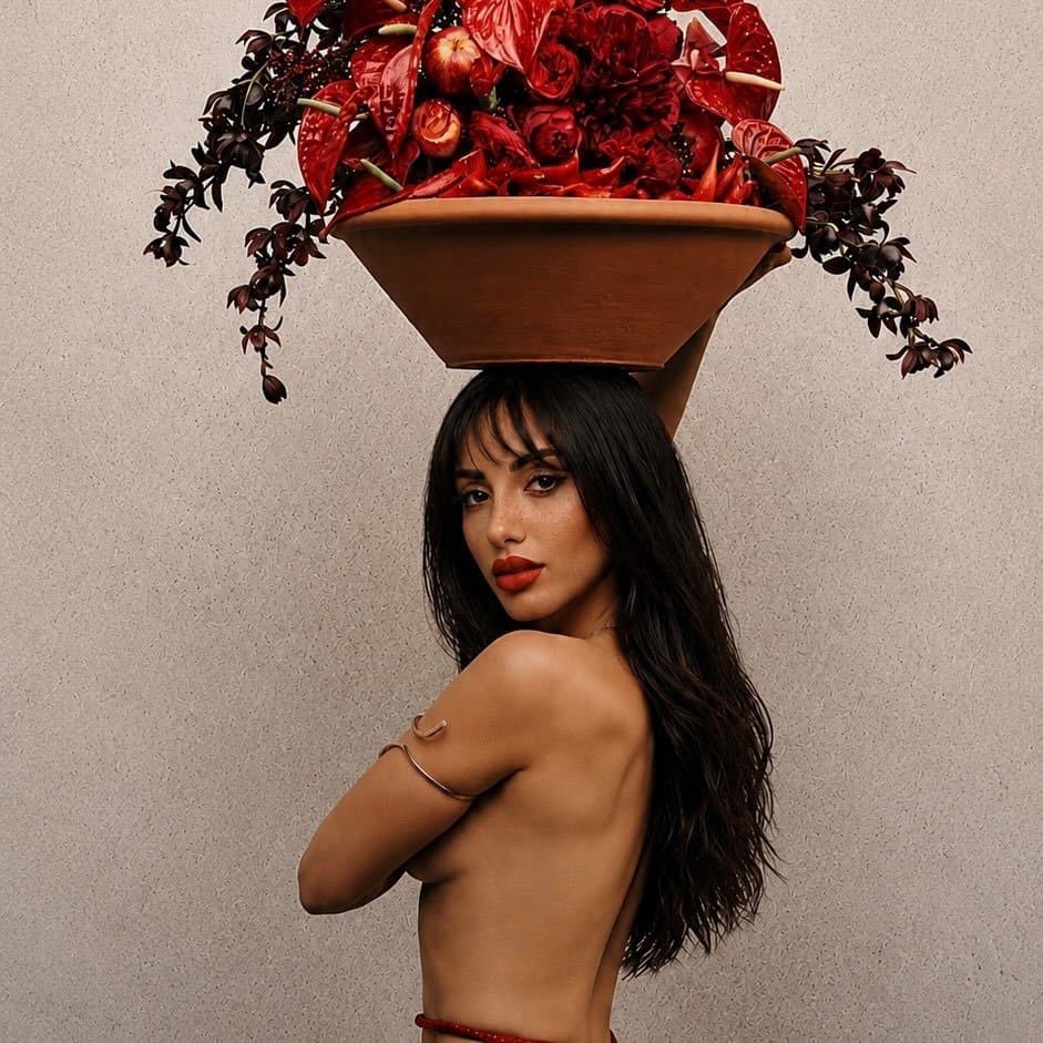 Arte de Cover Oficial da Anitta