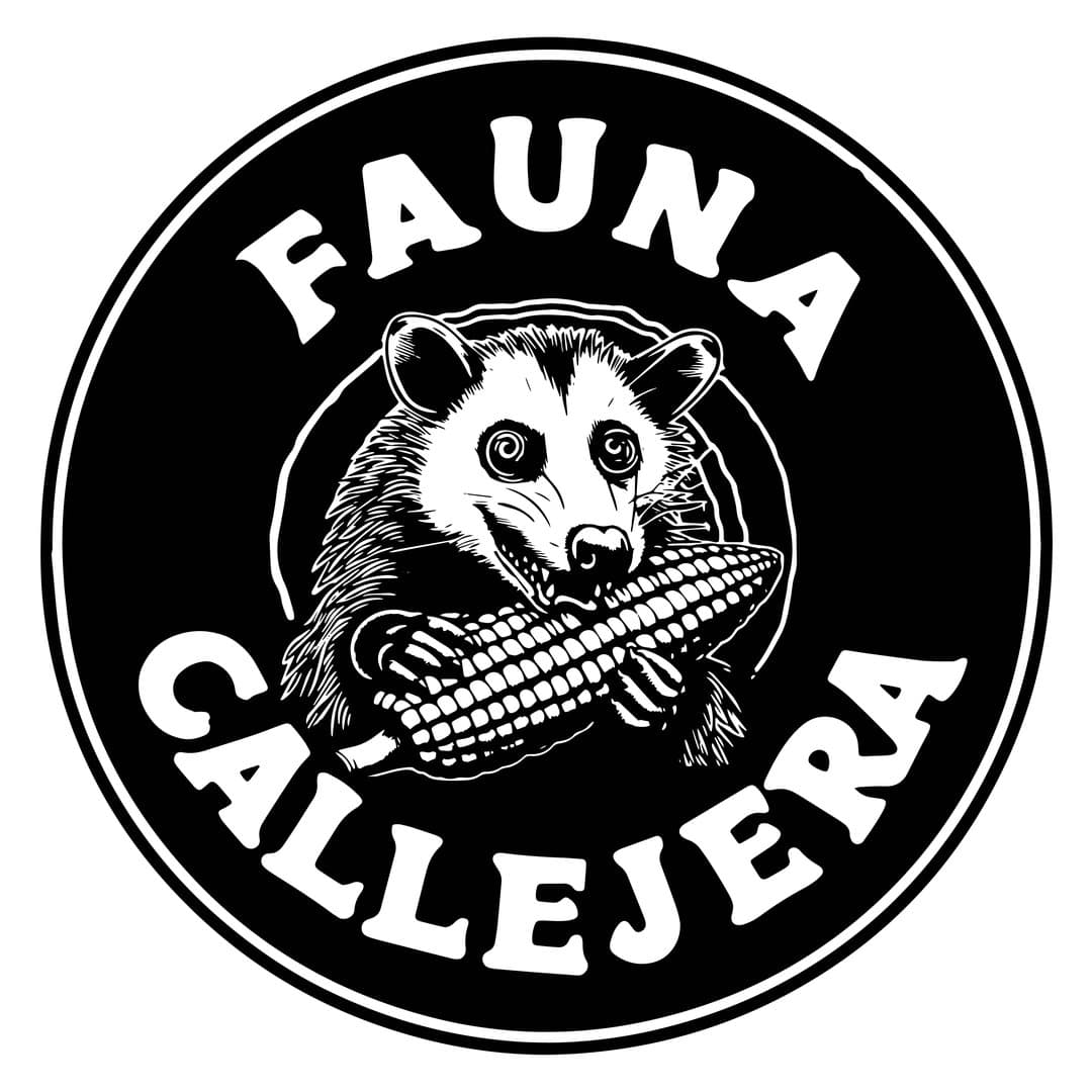 Arte de Fauna Callejera