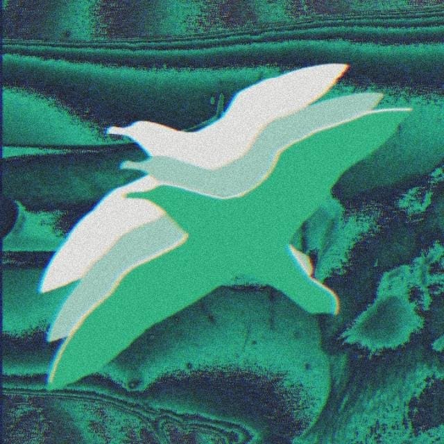 Arte de Fernão Gaivota