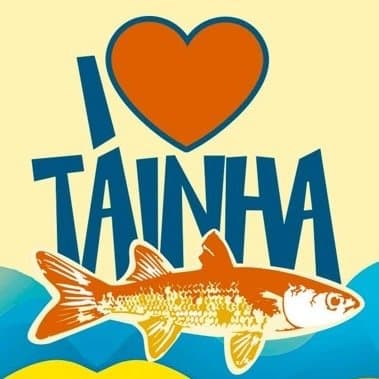 Foto de Festival I Love Tainha