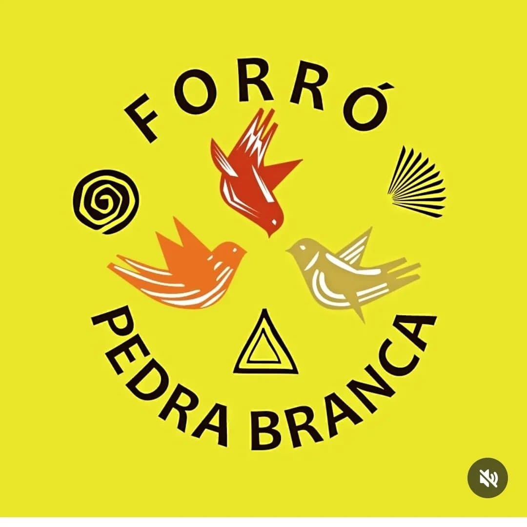 Arte de Forró Pedra Branca
